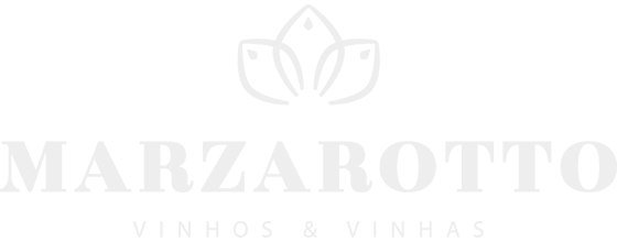 Logo Marzarotto - Vinhos e Espumantes