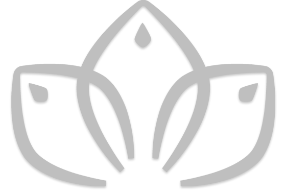 �cone Marzarotto - Vinhos e Espumantes